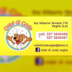 Colpi Di Coda