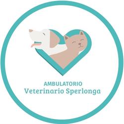 Ambulatorio Veterinario Sperlonga