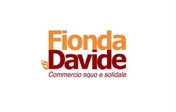 la fionda di Davide