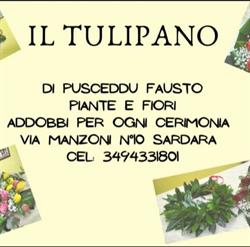 Fiori e Piante Il Tulipano di Pusceddu Fausto