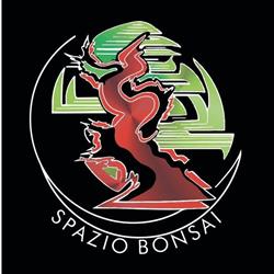 Spazio Bonsai