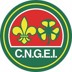 CNGEI Torino 3