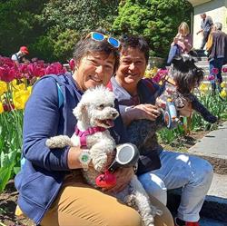 Dog & cat sitter Anna e Luisa