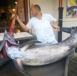Pescheria Canale