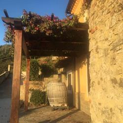 Casa Giardino Rutino - Casa Vacanze nel cuore del Cilento