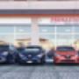 Gallery Cliente