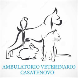Ambulatorio Veterinario Casatenovo