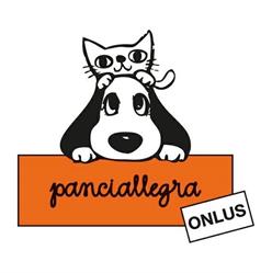 Panciallegra