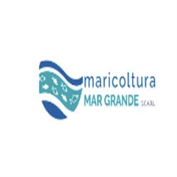 Maricoltura Mar Grande Scarl
