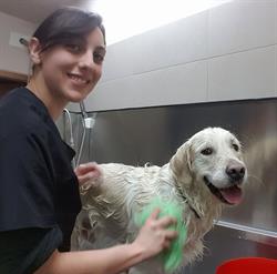 IL MIO CANE DI BARBARA RITO