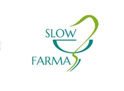 S.A.L.O. PHARMA SRL