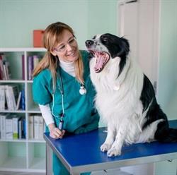 Ambulatorio Veterinario Associato