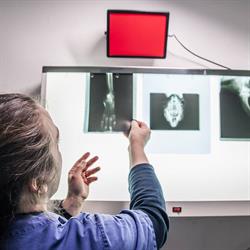Dott.ssa Marcella Paoli Medico Veterinario