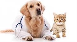 Ambulatorio Veterinario Uta -Dott. Tatti Andrea
