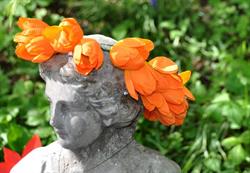 Messer Tulipano
