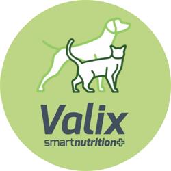 Valix Srl