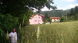 Fattoria Boccarda