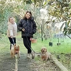 Dog Sport Center