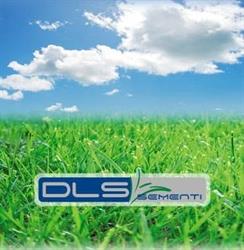 DLS Sementi