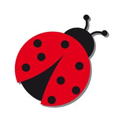 La Coccinella