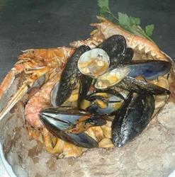 Ristorante Lo Spuntino