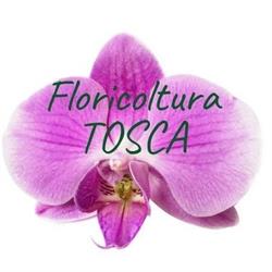 Floricoltura Tosca