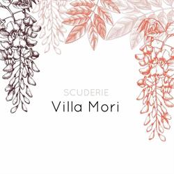 Scuderie VILLA MORI