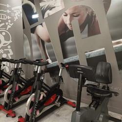 Palestra Perfect