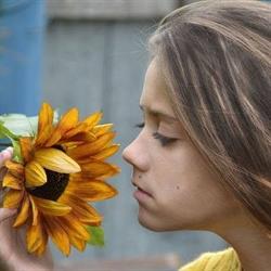 Cooperativa Sociale Girasole