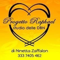 Progetto Raphael Studio delle DBN Treviso