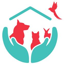 Clinica Veterinaria ARCA