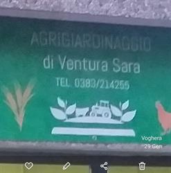 Agrigiardinaggio Voghera