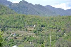 Azienda Agricola La Padula
