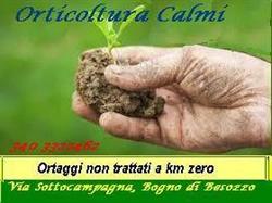 Orticoltura Calmi