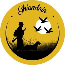 Ghiandaia