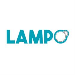 Lampo Impresa Di Pulizie