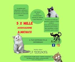 A.Mici&Co