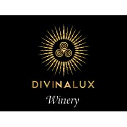 Divinalux Winery Estate
