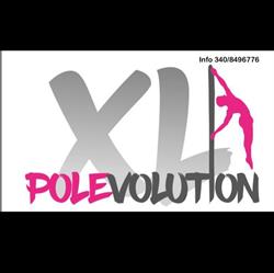 Polevolution Pisa