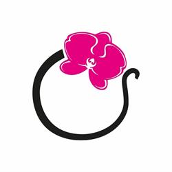 L'Orchidea