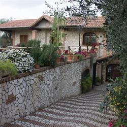 LE DELIZIE DEGLI ANGELI