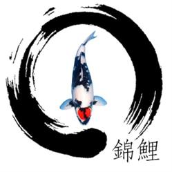 Koi Varese
