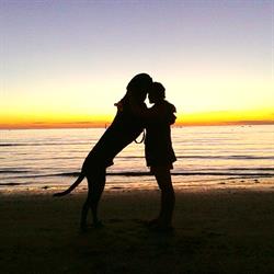 Islamorada - Dog Beach