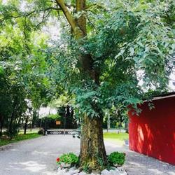 B&B Dal Bagolaro