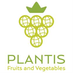 Plantis Group S.r.l.