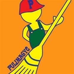 Pulimagyc