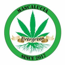 Evergreen Grow Shop