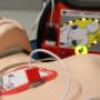 Gallery Professionale