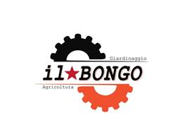 Il bongo s.r.l.