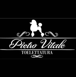 Grooming Pietro Vitale